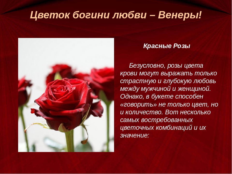 Что означает розовое красное. Красные розы на языке цветов.